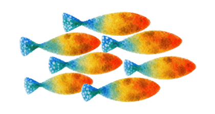 Chord fish
